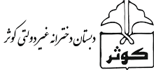 دبستان دخترانه غیردولتی کوثر